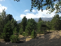 rrente Quarantore-20110911 100
